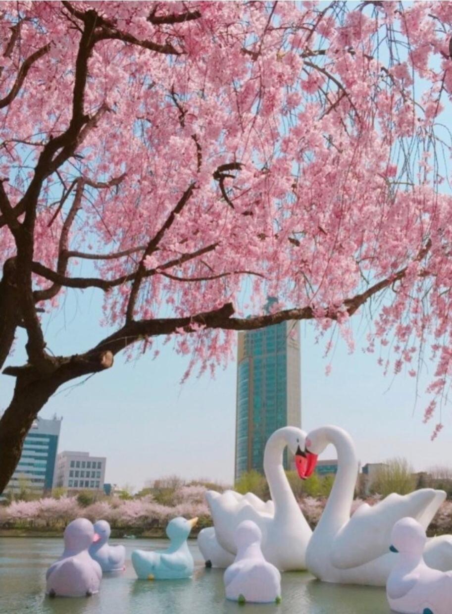 Villa Urban Corner New Building 2 Rooms, 1 Living Room, 1 Kitchen # Seokchon Cherry Blossom # Lotte World # Kspo
